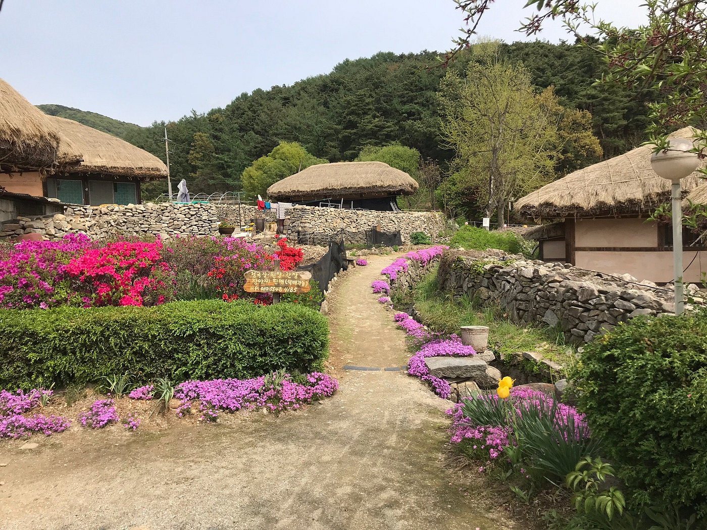 충청도